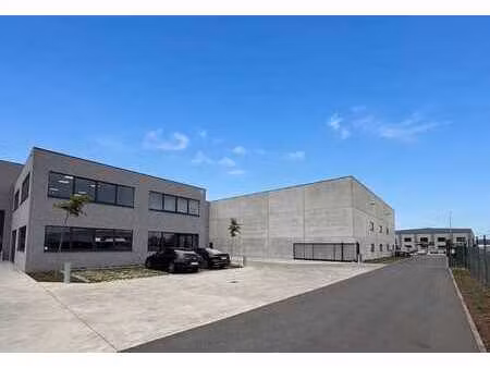 entrepôt (684 m²) avec bureau (156 m²) à louer à kruisem