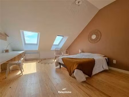 chambre en colocation