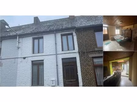 maison en vente publique à rue ferrer 8 wasmes (vbe16358)