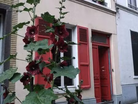 charmante maison 5 chambres au cœur de schaerbeek
