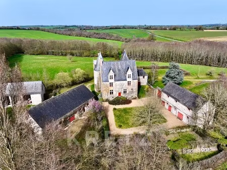 château à vendre à sillé-le-guillaume