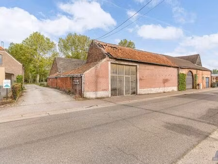 maison à vendre à halle-booienhoven € 139.000 (lnpqg) - rt vastgoed bv | zimmo