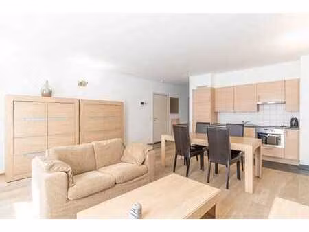 agreable appartement 1ch meuble (rez de chaussee)