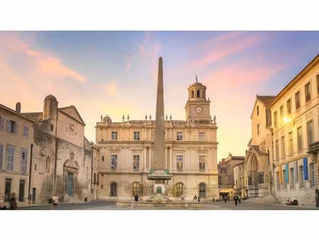 vente maison 15 pièces 500 m² à arles (13200)  1 470 000 €