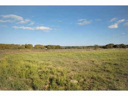 annonce terrain à vendre