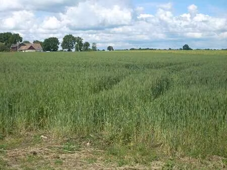 vente terrain à saint-georges-du-rosay (72110) : à vendre / saint-georges-du-rosay