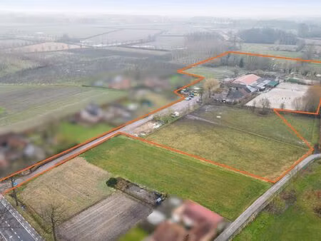 maison à vendre à kortessem € 775.000 (lnq1k) - horse immo | zimmo