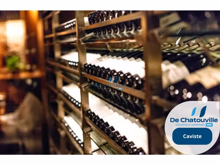 cave a vins