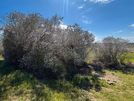 terrain 1800m2 à vendre