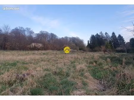 terrain en bordure de fôret