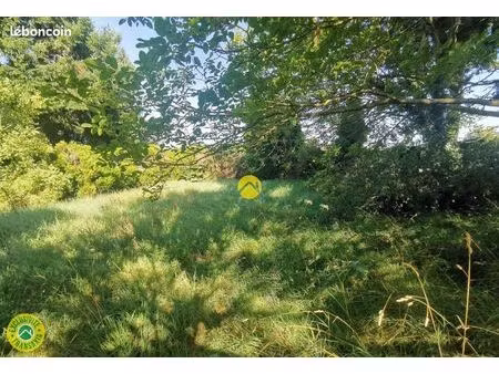 très beau terrain arboré