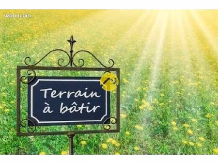terrain constructible