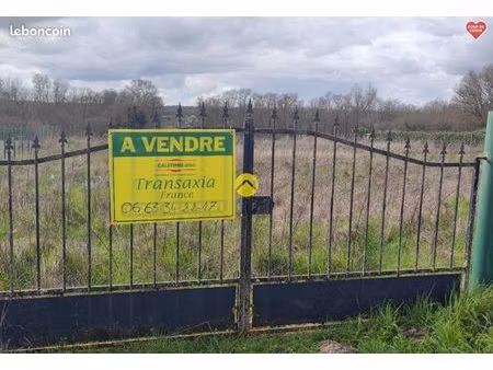 terrain constructible 1000 m²