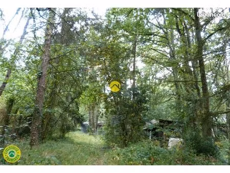 jolie parcelle boisee