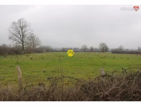 terrain à bâtir