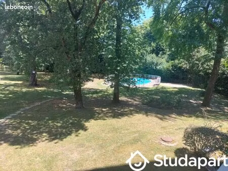 chambre 1 pièce 11 m²