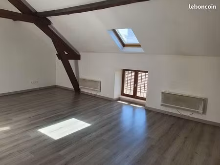 magnifique f3  grand et lumineux rénové à neuf