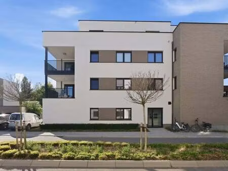 appartement à louer à sint-truiden € 1.200 (lnq1d) - de woonmakers | zimmo
