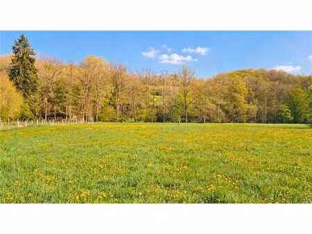 terrain à bâtir de 1928 m² à erezée