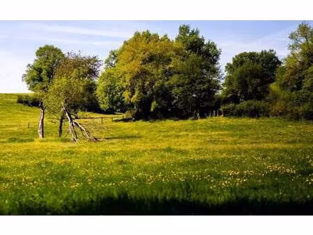 terrain constructible viabilisé à vendre