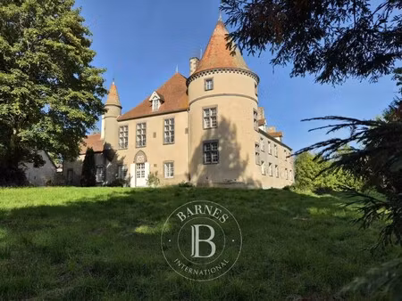 château à vendre à saint-angel