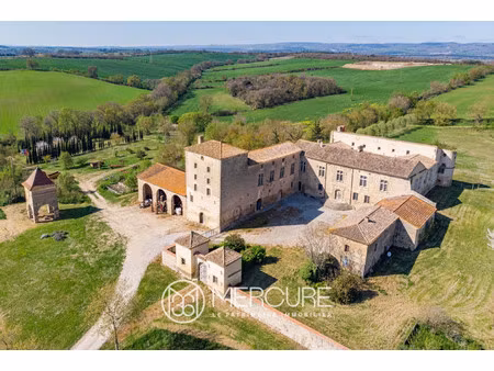 château à vendre à lasbordes