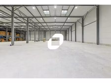 vente local d’activités saint pathus 77178 4000m²