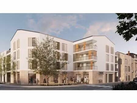 vente commerce mornant 69440 121m² à 177m²