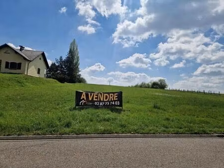 vente terrain hambach 57910 11941m²