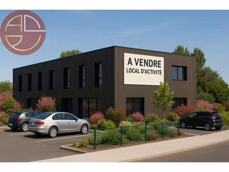 vente commerce castanet tolosan 31320 407m²