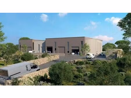 vente commerce montpellier 34000 246m²