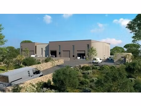 vente commerce montpellier 34000 255m²
