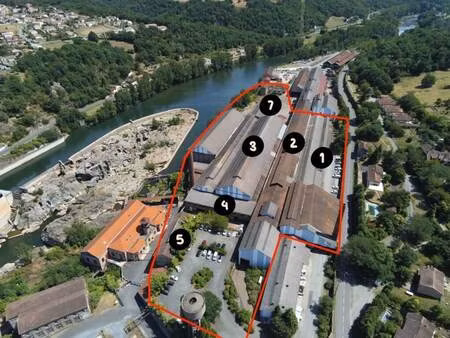 vente local d’activités arthes 81160 17000m²