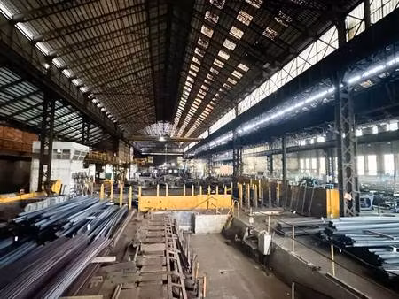 vente local d’activités arthes 81160 20000m²