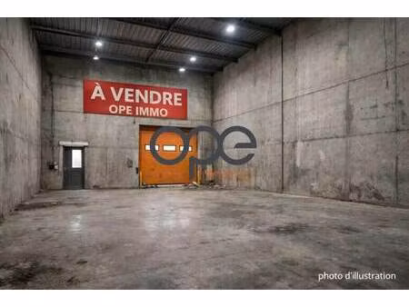 vente local d’activités aubervilliers 93300 296m²