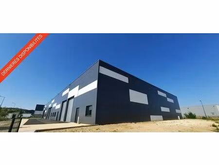 vente local d’activités avignon 84000 202m² à 404m²
