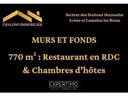 vente local d’activités le bousquet d orb 34260 770m²