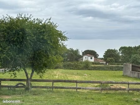 location terrain