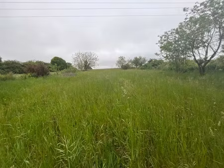 vente terrain 1917 m² à rouillac (16170)  19 500 €