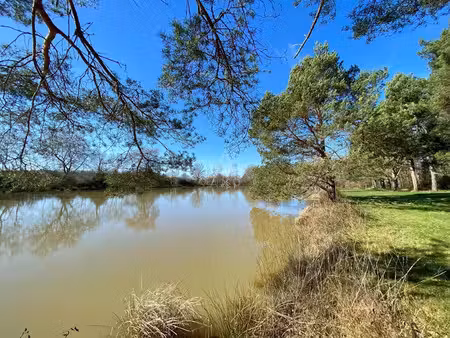 vente terrain 14822 m² à saint-brisson-sur-loire (45500)  59 000 €