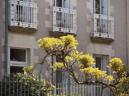 vente maison à paimboeuf (44560) : à vendre / 142m² paimboeuf