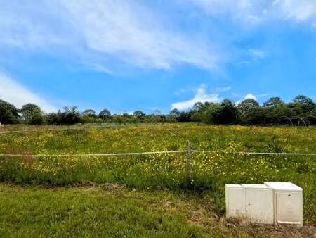 vente terrain à treillières (44119) : à vendre / 522m² treillières