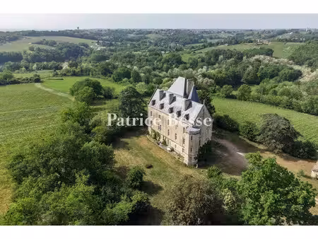 vente maison 14 pièces 600 m² à villenave-de-rions (33550)  1 914 890 €