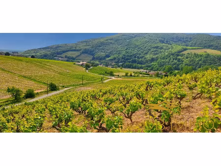 vente terrain 56300 m² à juliénas (69840)  210 000 €