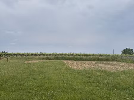 vente terrain 1000 m² à pugnac (33710)  88 000 €