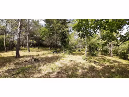vente terrain 1003 m² à flayosc (83780)  135 000 €