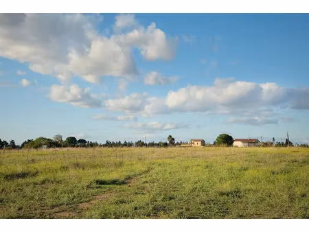 vente terrain 361 m² à le cailar (30740)  129 900 €