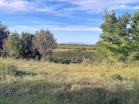vente terrain 886 m² à montels (34310)  128 000 €