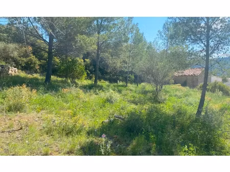vente terrain 1790 m² à bize-minervois (11120)  160 000 €
