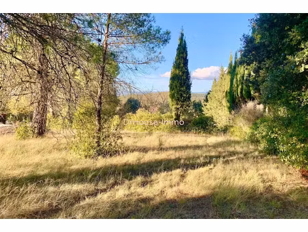 vente terrain 3483 m² à palaja (11570)  175 000 €